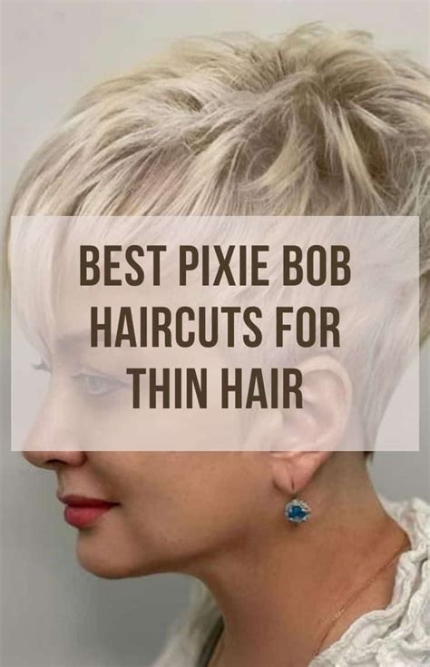 pixie-bob|pixie bob for fine hair.